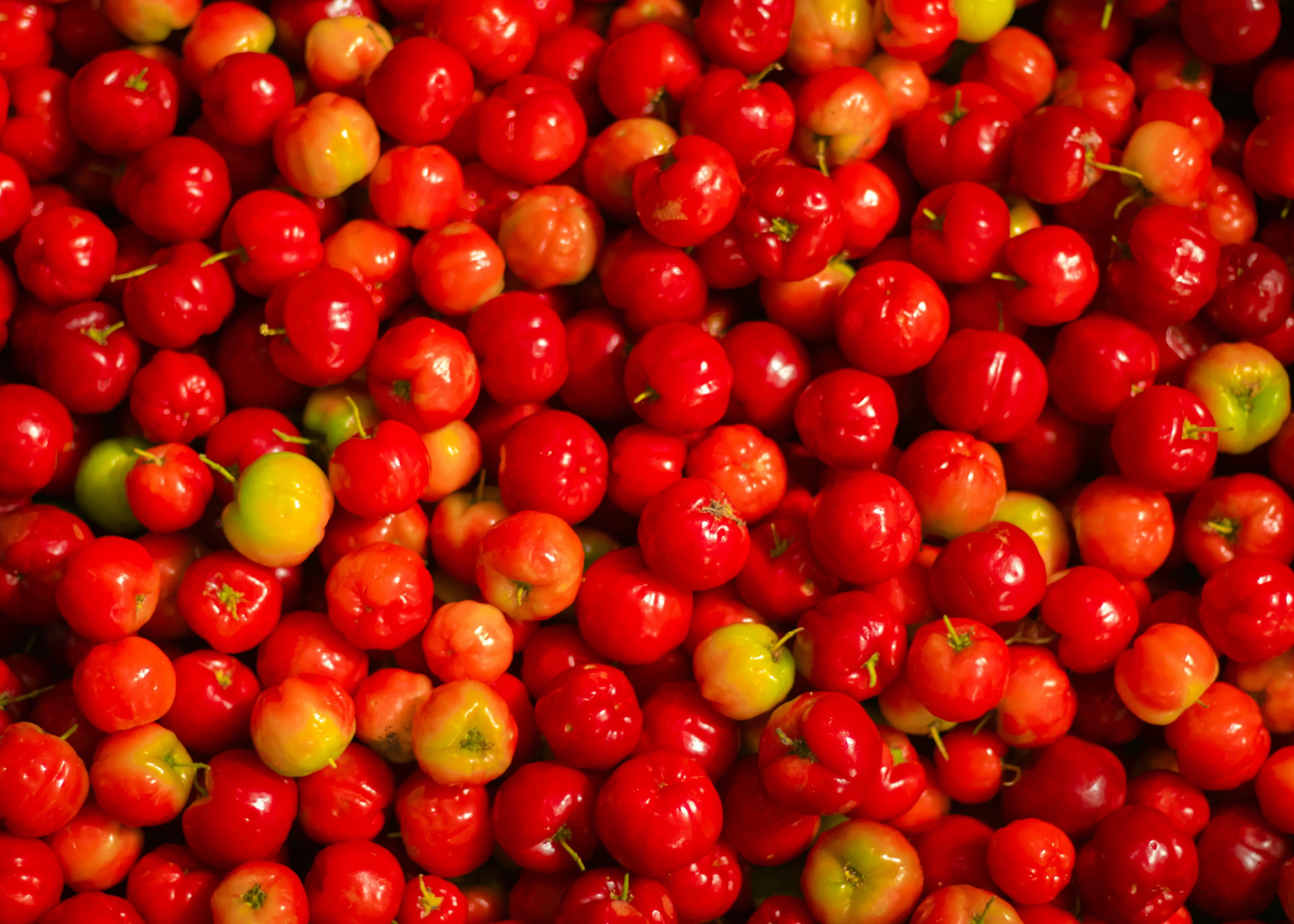 Acerola